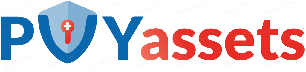 Pvy Assets Wordmark Logo PNG with transparent background
