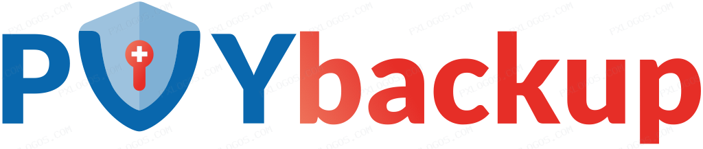 Pvy Backup Wordmark Logo PNG with transparent background