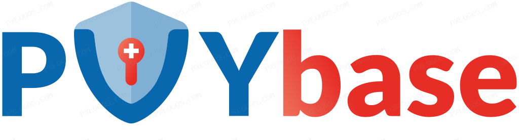 Pvy Base Wordmark Logo PNG with transparent background