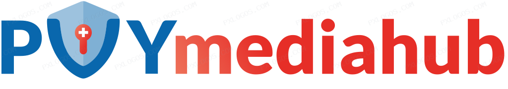 Pvy Mediahub Wordmark Logo PNG with transparent background