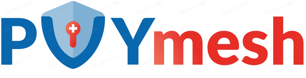 Pvy Mesh Wordmark Logo PNG with transparent background