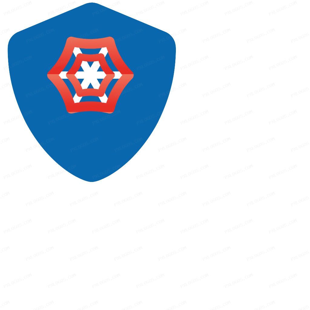 Pvy Mesh Logo PNG with transparent background