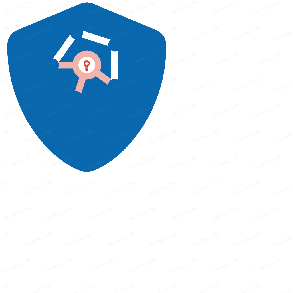 Pvy VPN Logo PNG with transparent background