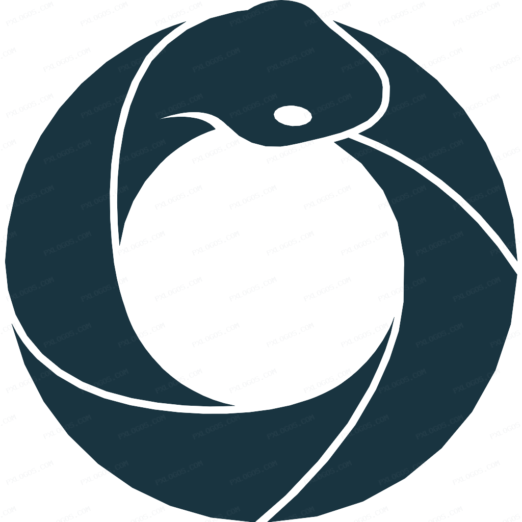 PyPy Logo PNG with transparent background