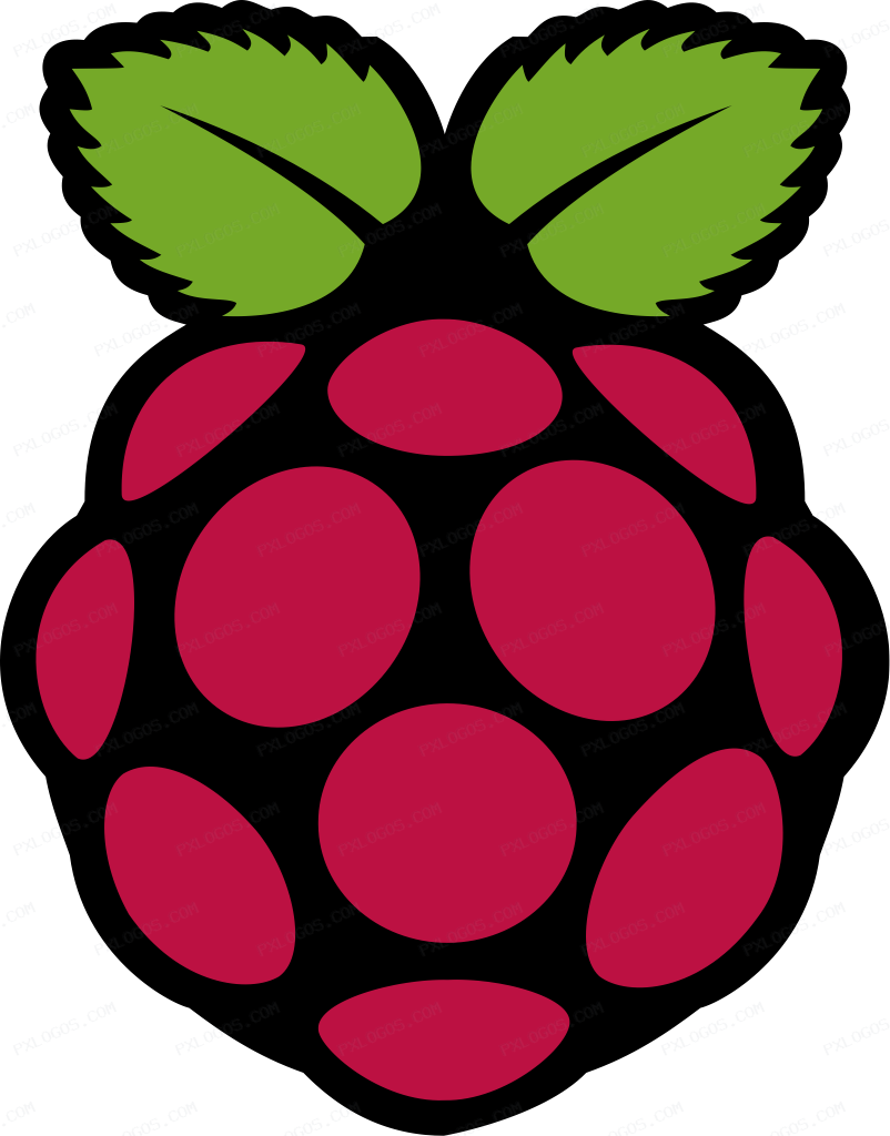 Raspberry Pi Logo PNG with transparent background