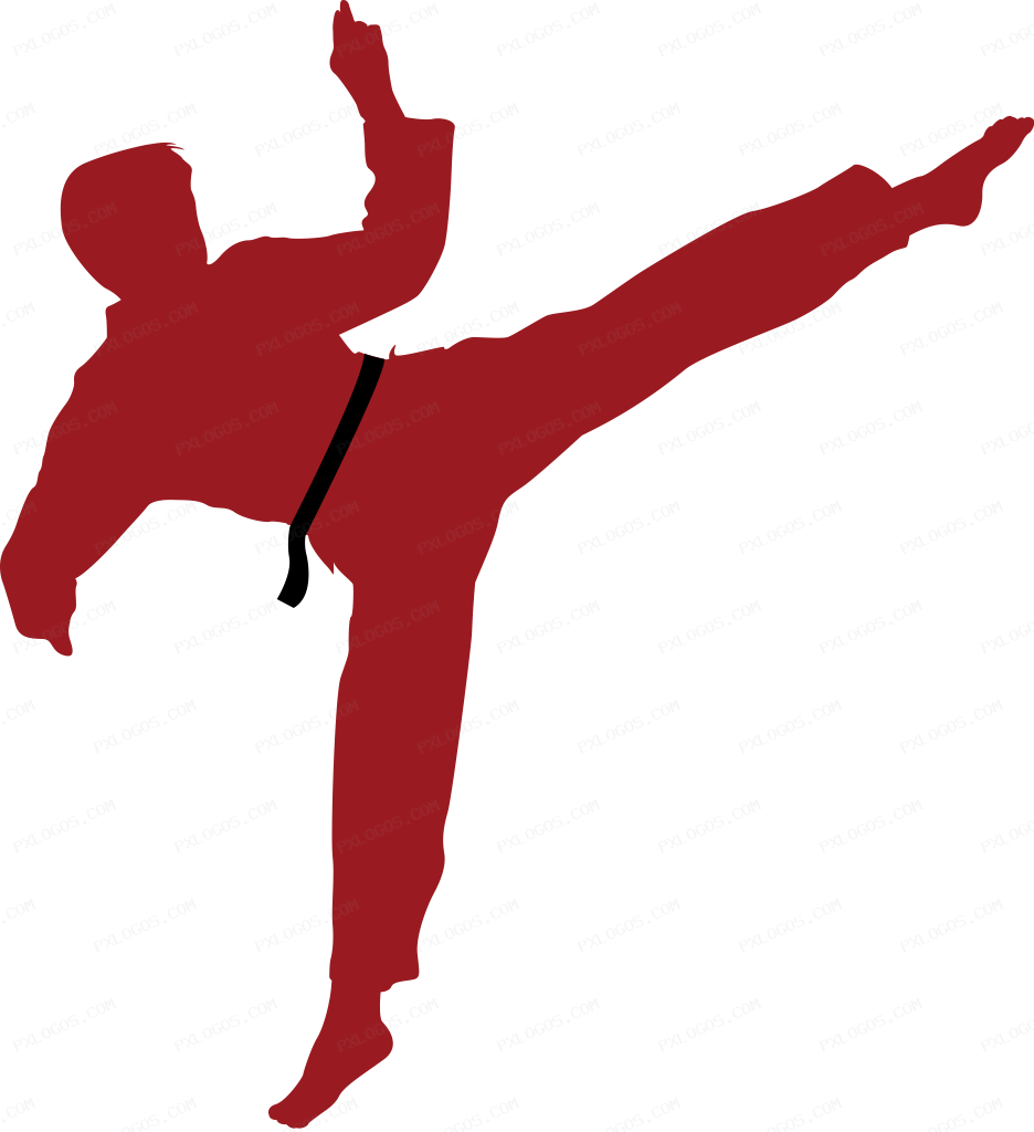 Sidekiq Logo PNG with transparent background