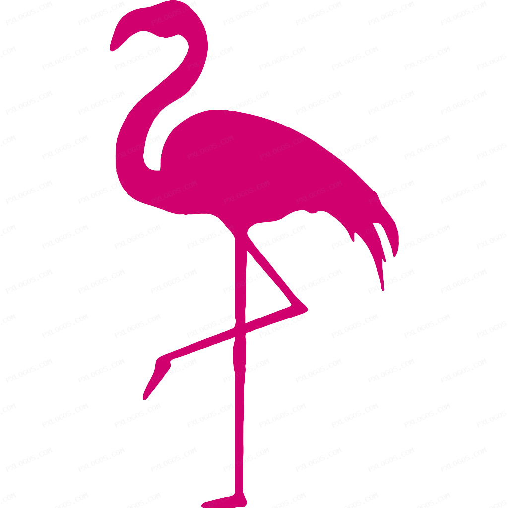 Silver Airways Logo PNG with transparent background