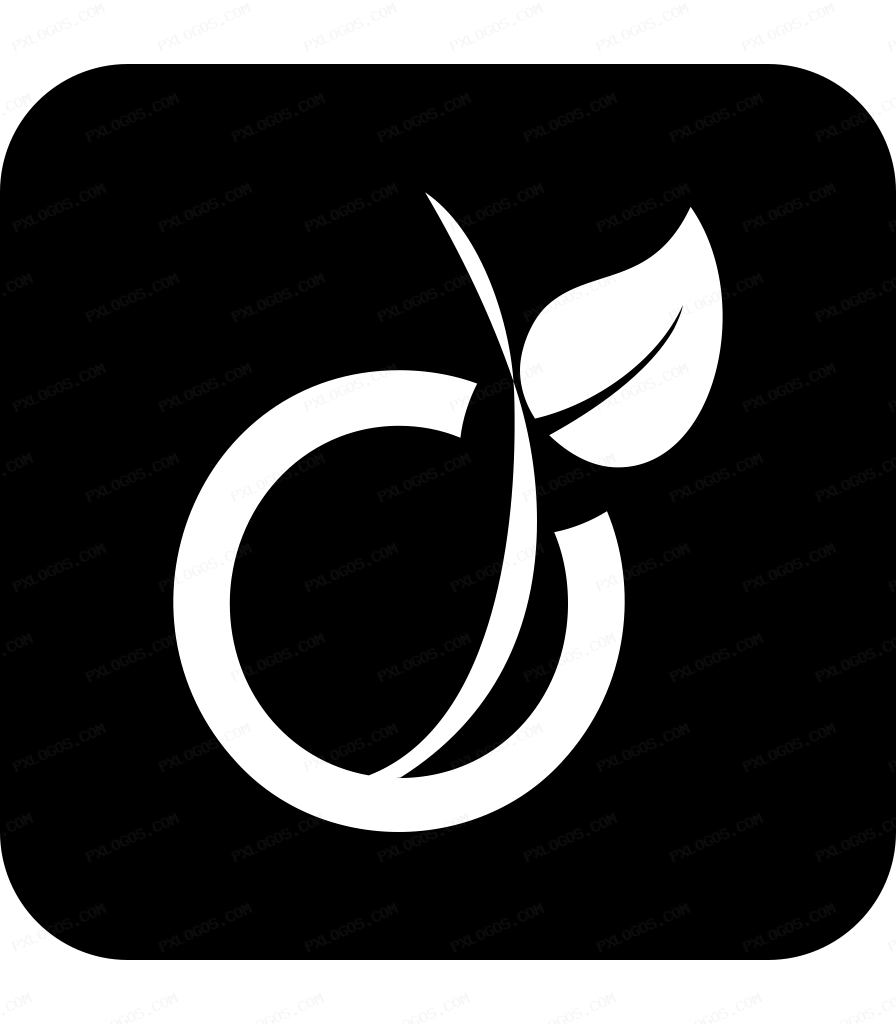Square Viadeo Logo PNG with transparent background