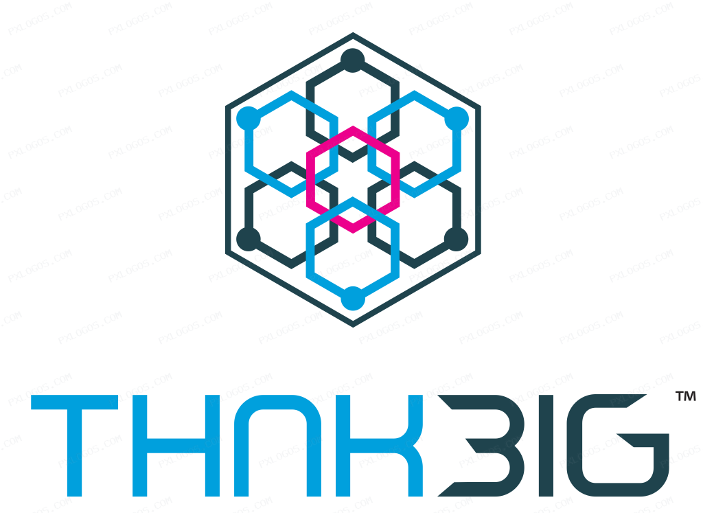 Thnk Big Logo PNG with transparent background