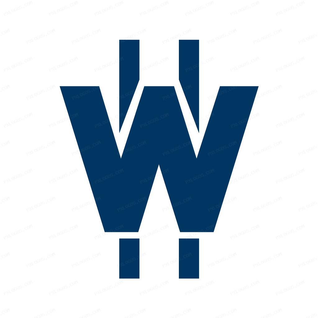 Token Wsi Logo PNG with transparent background