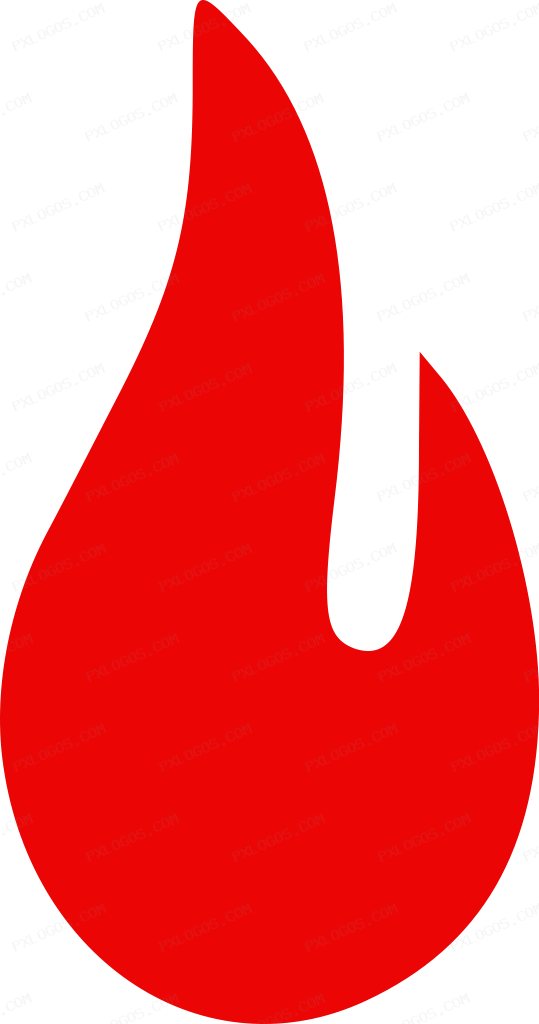 Vidzy Logo PNG with transparent background