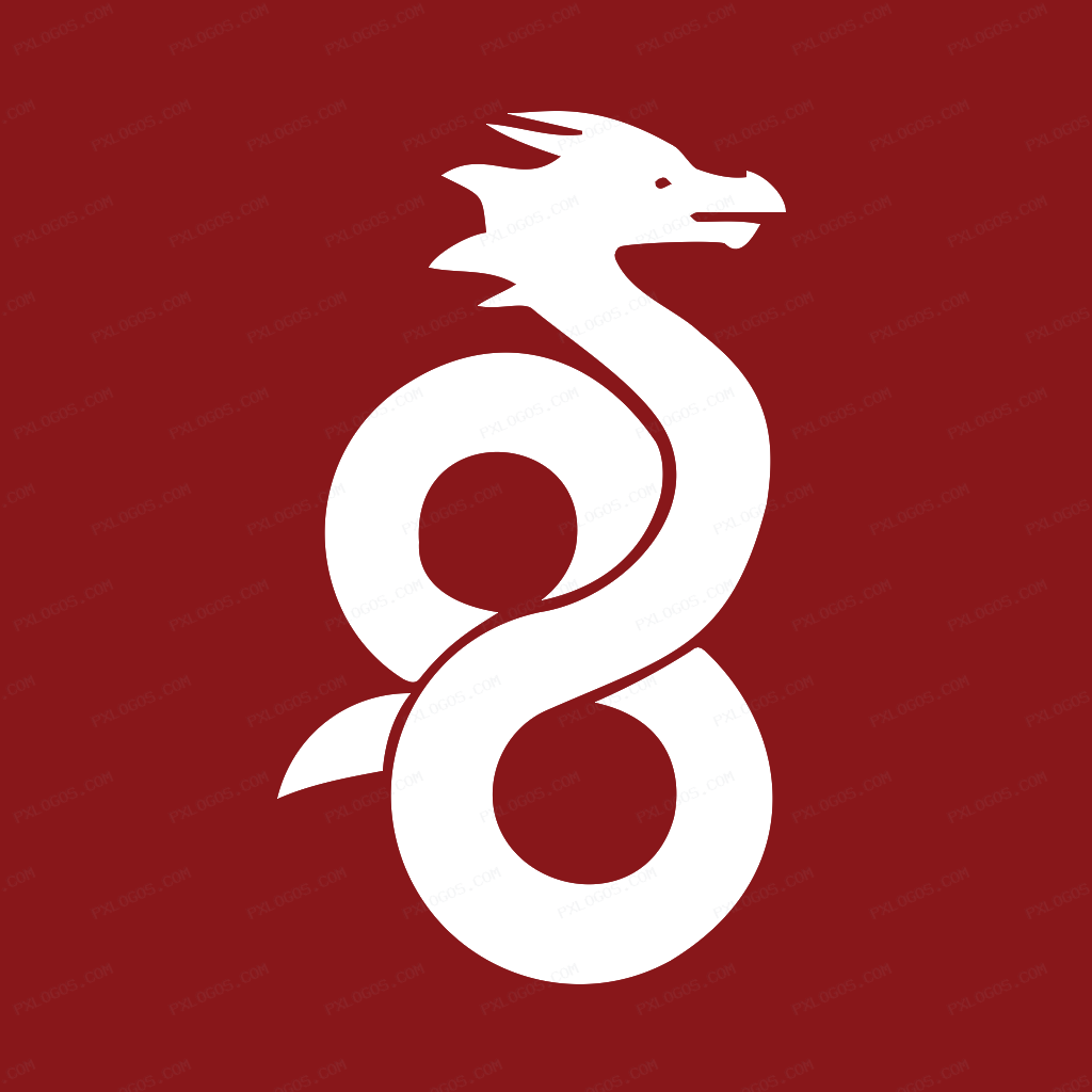 WireGuard Logo PNG with transparent background