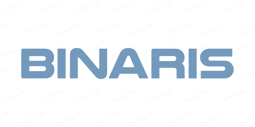 Binaris Wordmark Logo PNG with transparent background