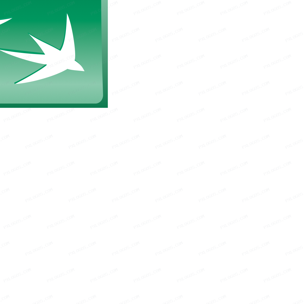 Bnpparibas Logo PNG with transparent background