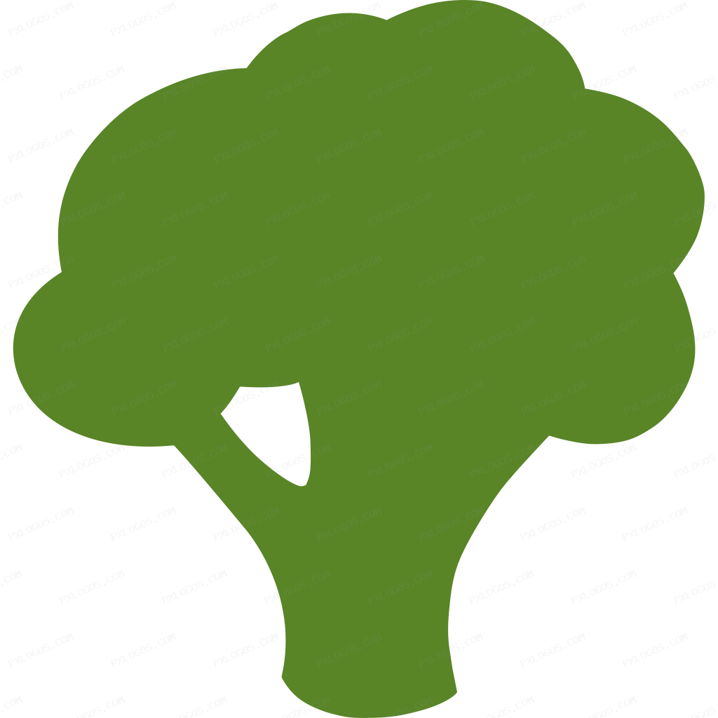 Broccolijs Logo PNG with transparent background