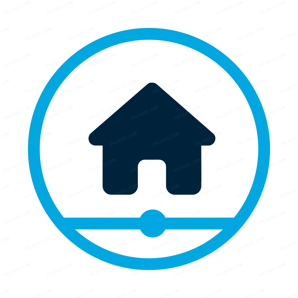 Dashwise Logo PNG with transparent background