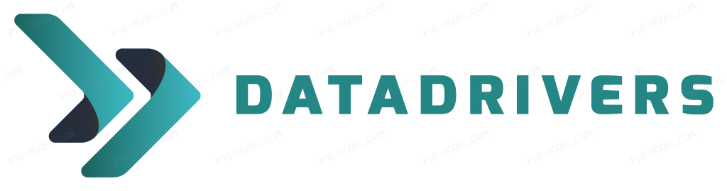 Datadrivers Logo PNG with transparent background