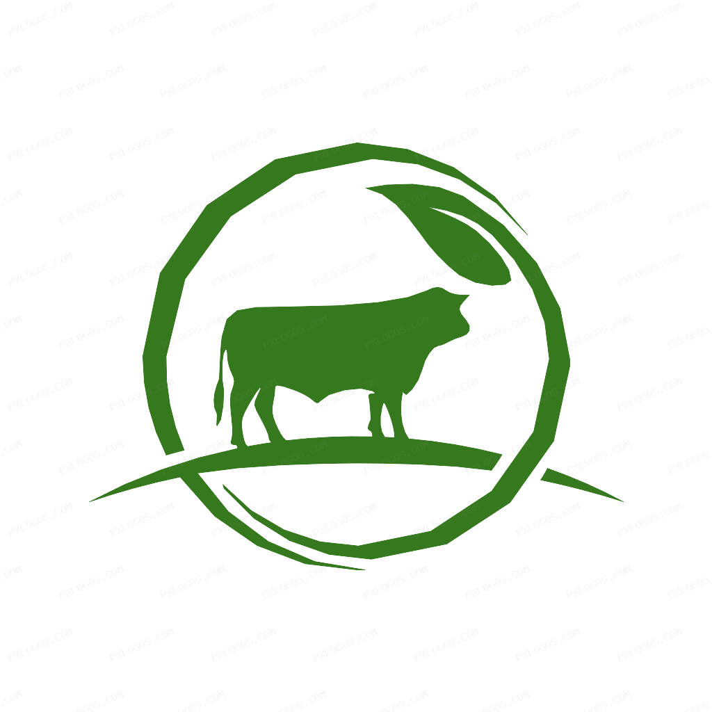 Dmtr Logo PNG with transparent background