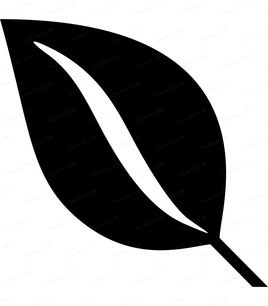 Envira Logo PNG with transparent background