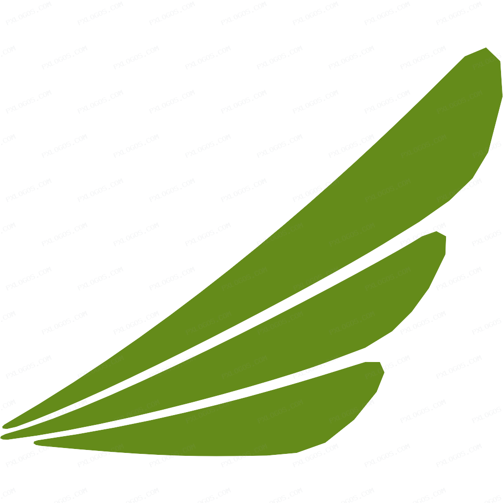 Ethiopian Airlines Logo PNG with transparent background