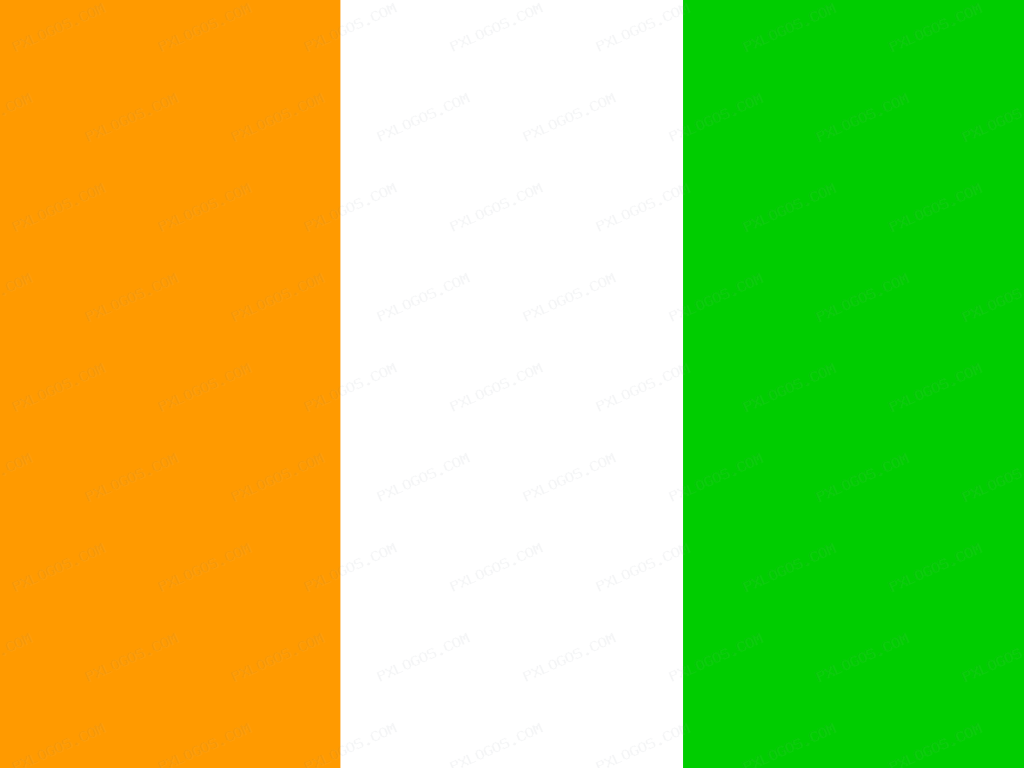 Flag C Te D Ivoire Logo PNG with transparent background