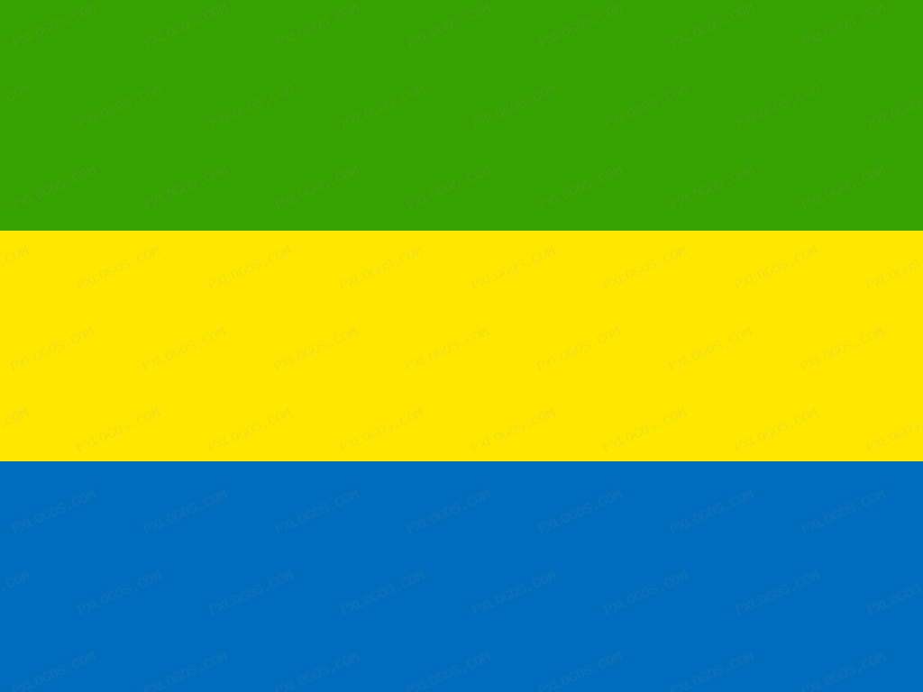 Flag Gabon Logo PNG with transparent background
