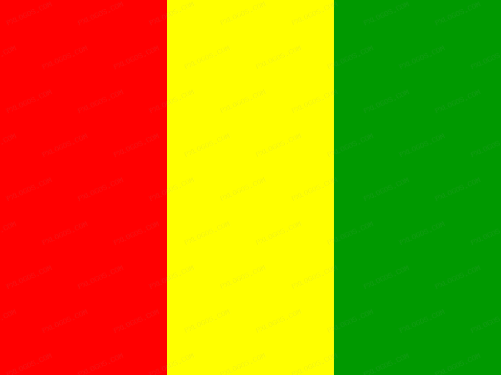 Flag Guinea Logo PNG with transparent background