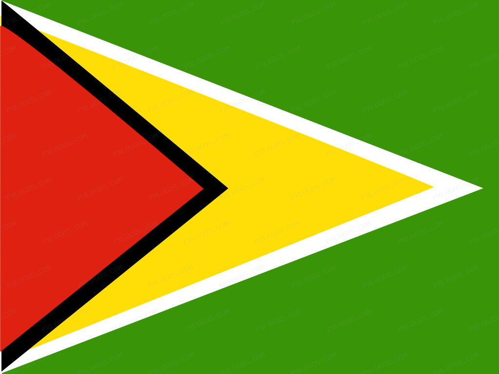 Flag Guyana Logo PNG with transparent background