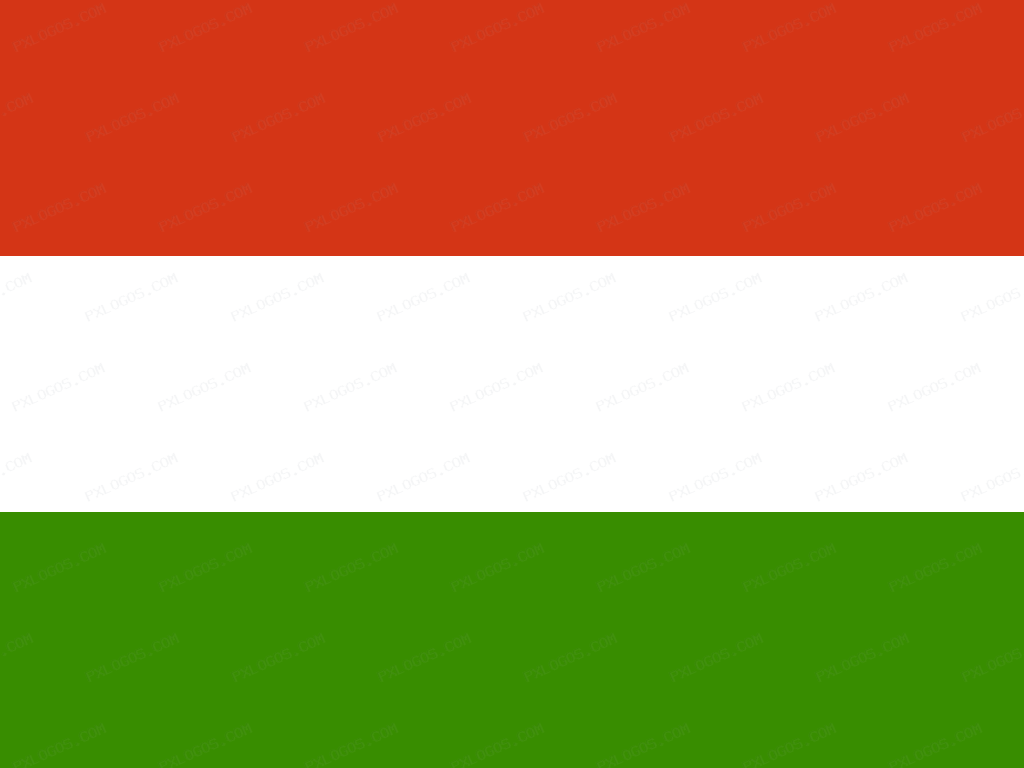 Flag Hungary Logo PNG with transparent background