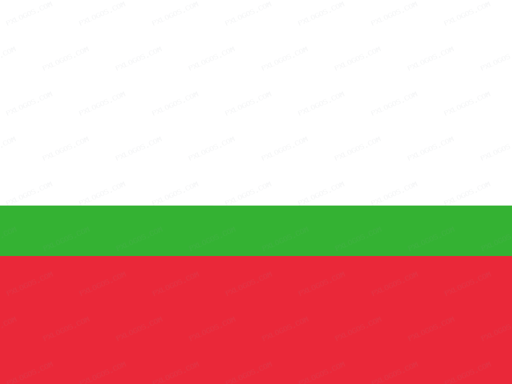 Flag Myanmar Logo PNG with transparent background