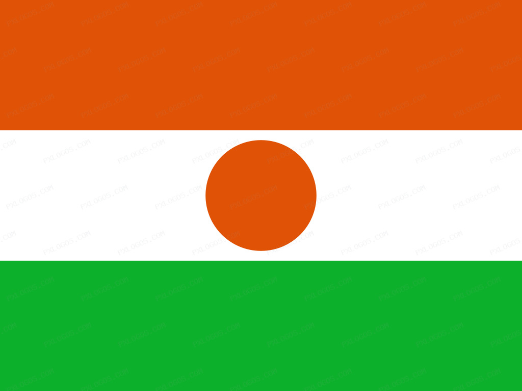 Flag Niger Logo PNG with transparent background
