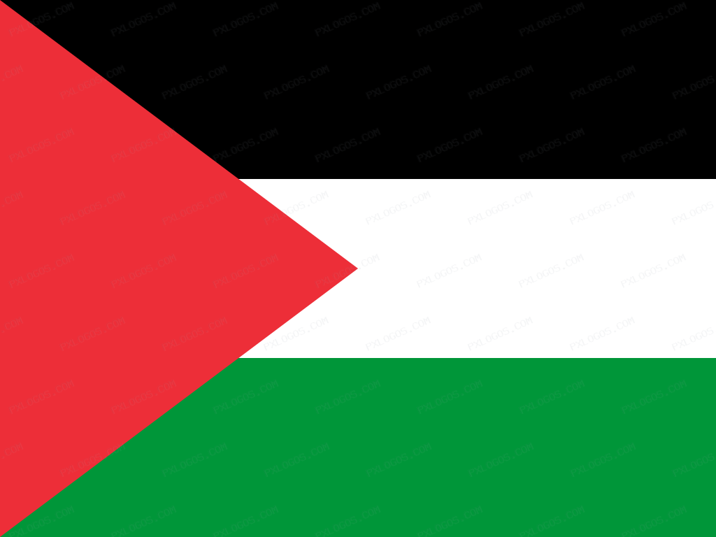 Flag State Of Palestine Logo PNG with transparent background