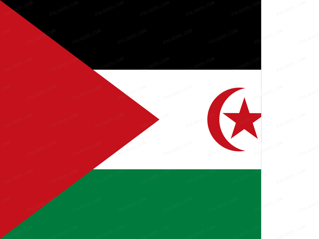 Flag Western Sahara Logo PNG with transparent background