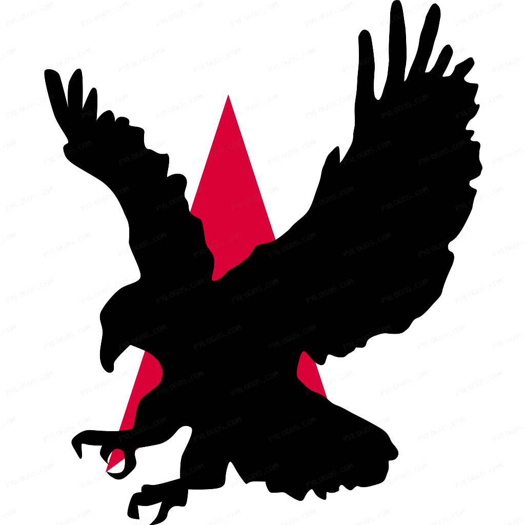Hauk Logo PNG with transparent background