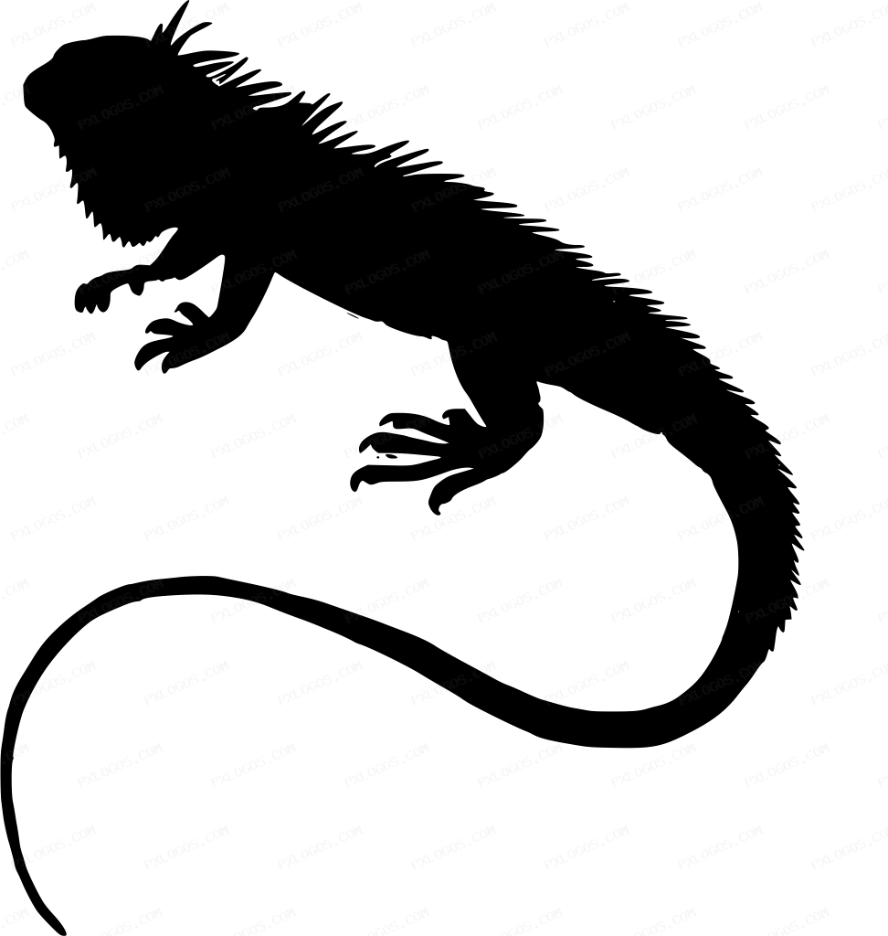 Iguana Logo PNG with transparent background