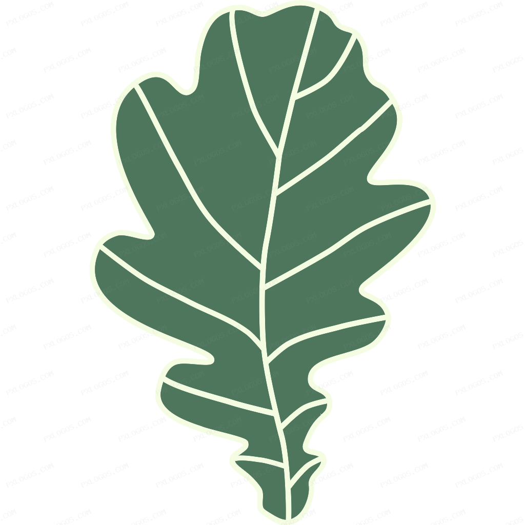 Oak Identity Logo PNG with transparent background