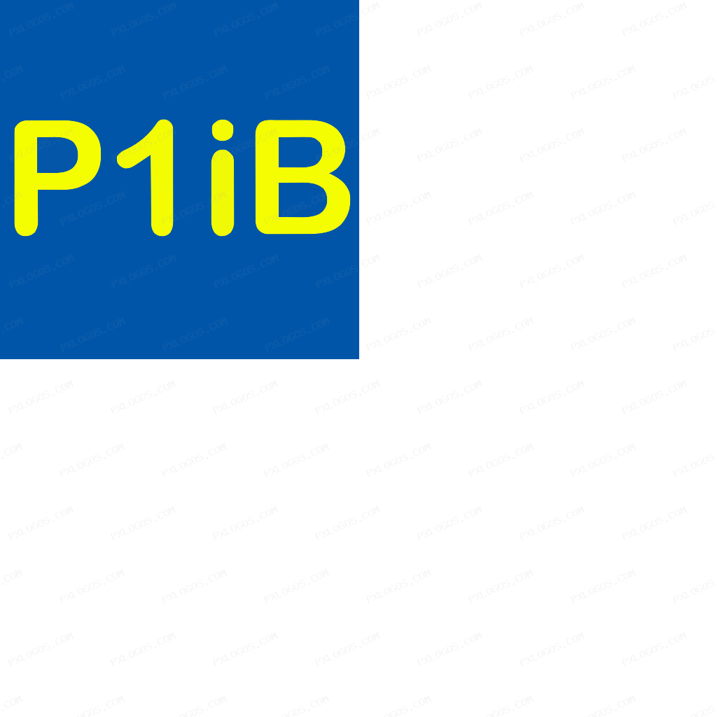 P1ib Logo PNG with transparent background
