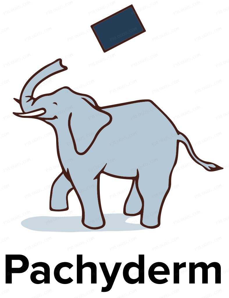 pachyderm Logo PNG with transparent background
