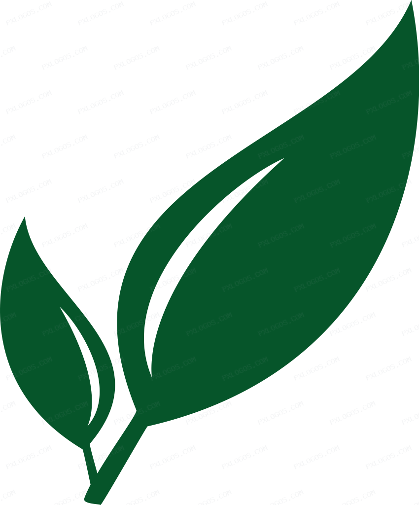 Paperless Ng Logo PNG with transparent background