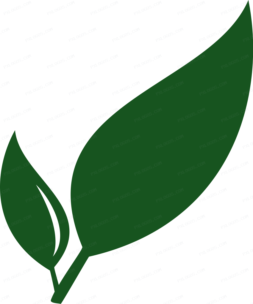 Paperless Logo PNG with transparent background