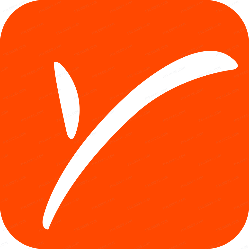 Payoneer Logo PNG with transparent background