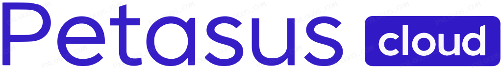 Petasus Cloud Logo PNG with transparent background