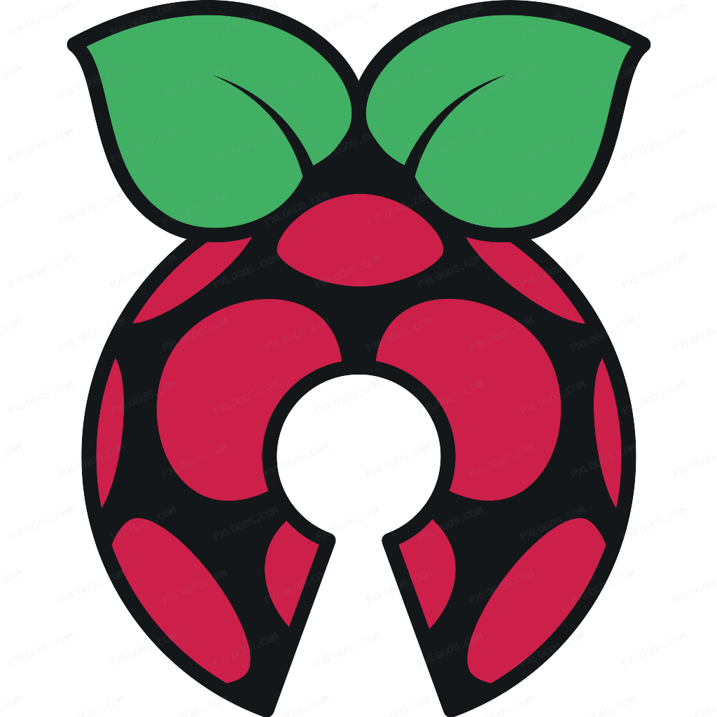Pi Source Logo PNG with transparent background