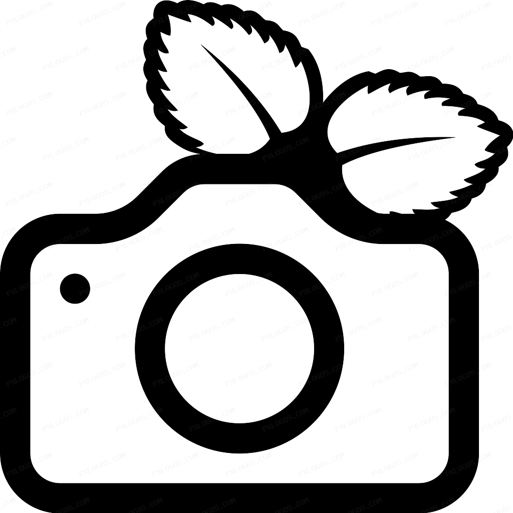 Pigallery2 Logo PNG with transparent background